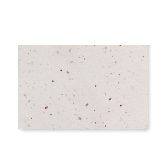 MO2993-06Asida Wildblumensamen-Visitenkarte._ weiss