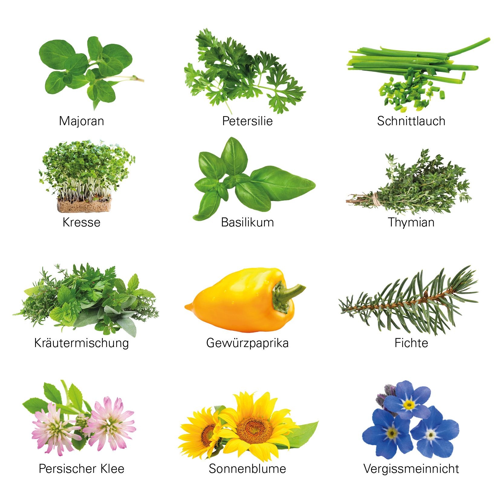 JG20107-2Adventskalender ECO L mit Samentuetchen_ Substrattabletten_ Individuelles Motiv