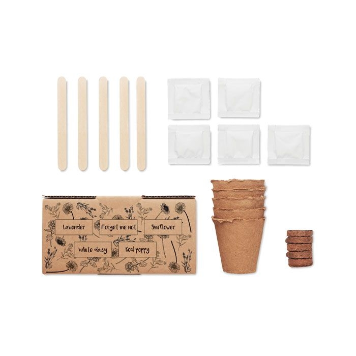 MO6500-13Flowers Saat-Set Sommerblumen_ beige