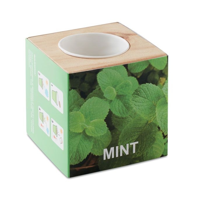 MO9337Menta Kraeuterpflanz-Set