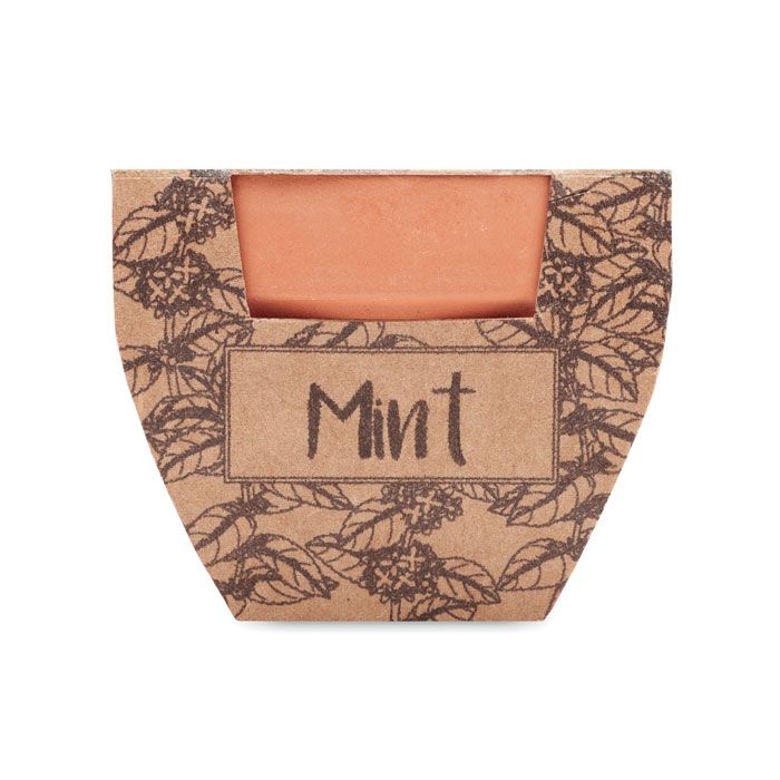 MO2218-40Mint Pot Terrakotta-Topf Minze_ holz