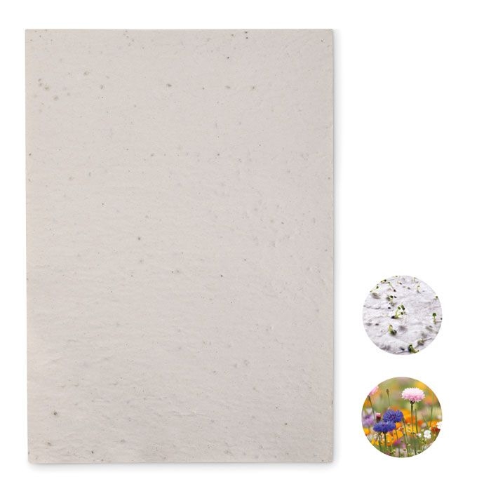 MO6914-06Asidi DIN A4 Wildblumen-Samenpapier_ weiss
