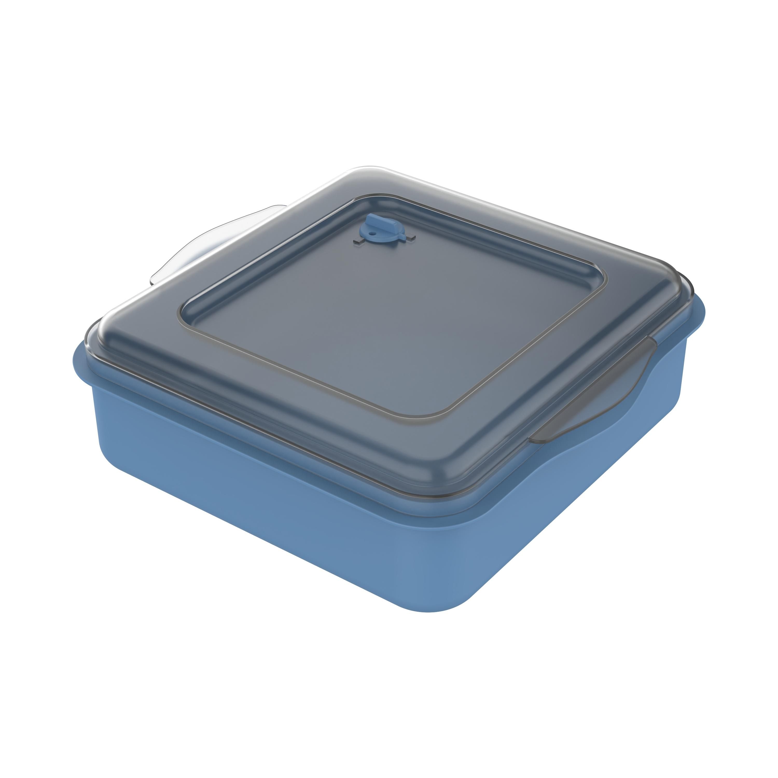 EL05200-3Universalbox „ToGo“_ behagliches blau_ transparent