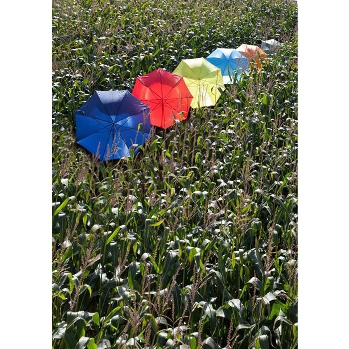 GI4064-01Automatik Stockschirm aus Polyester Andy_ schwarz