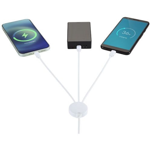 PF124184-1Pure 5-in-1-Ladekabel_ antimikrobiell_ weiss