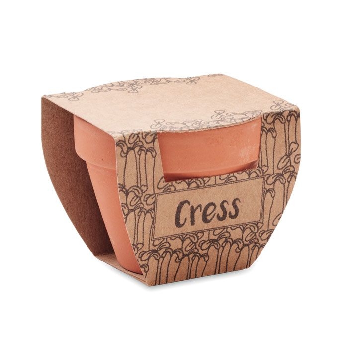 MO2219-40Cress Pot Terrakotta-Topf Kresse_ holz