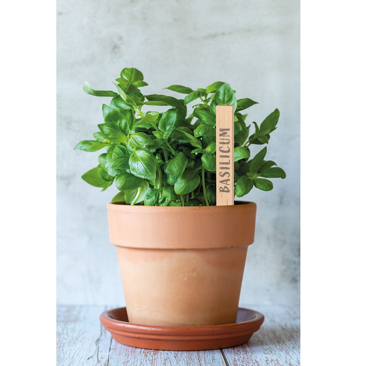 HE8661-S6Ruehrholz_ beige