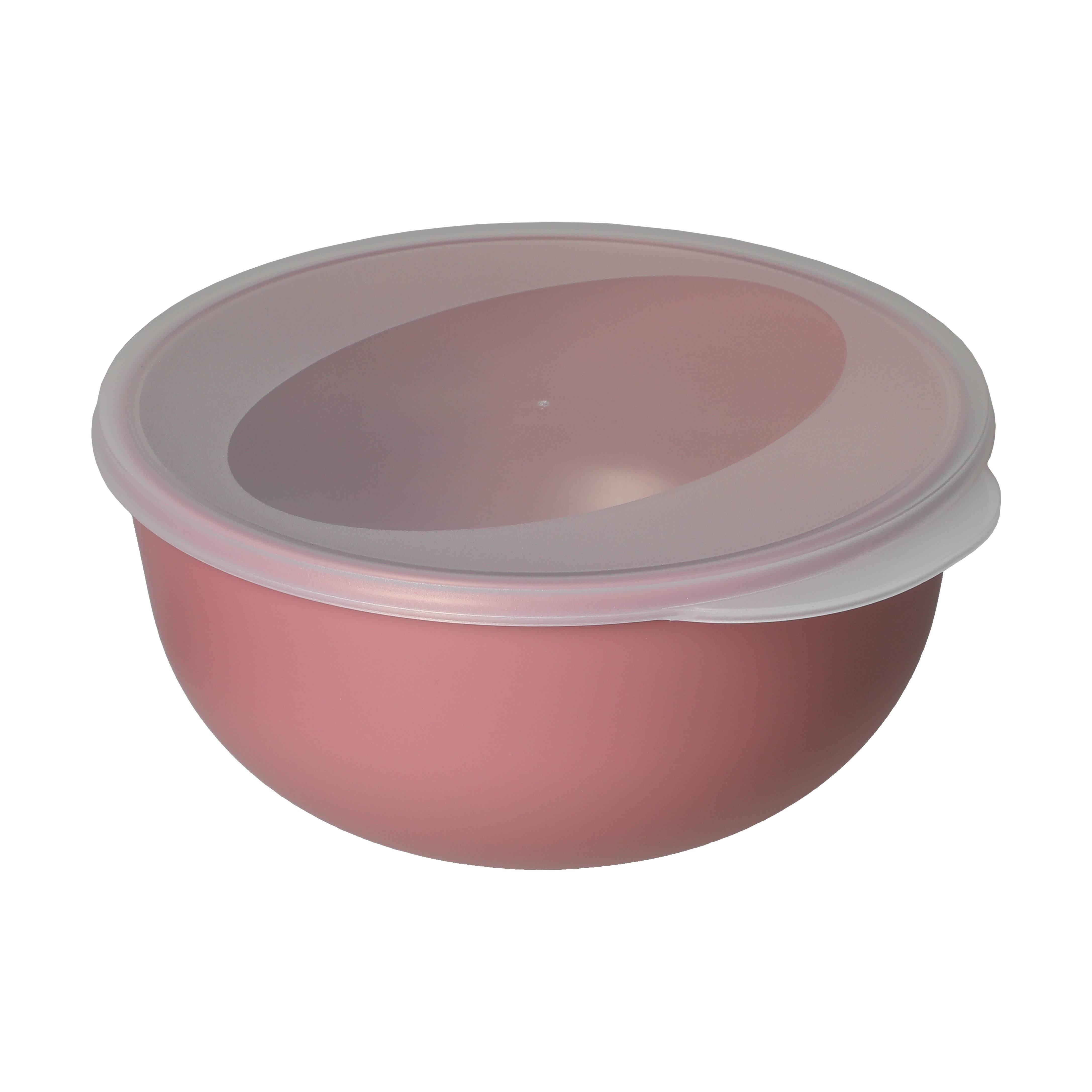 EL02119-4Food-Bowl _ToGo_ Classic_ 1_0 l_ raffiniertes rot_ transparent-milchig