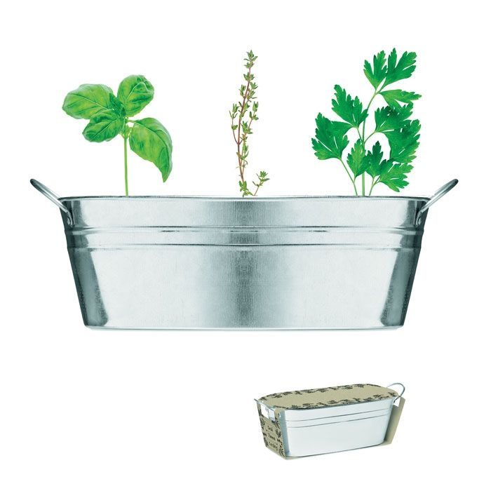 MO6497-16Mix Seeds Zink-Pflanzkuebel_ mattsilber