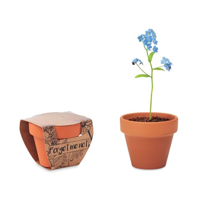 MO6146-40Forget Me Not Terracotta-Topf Vergissmeinnich_ holz