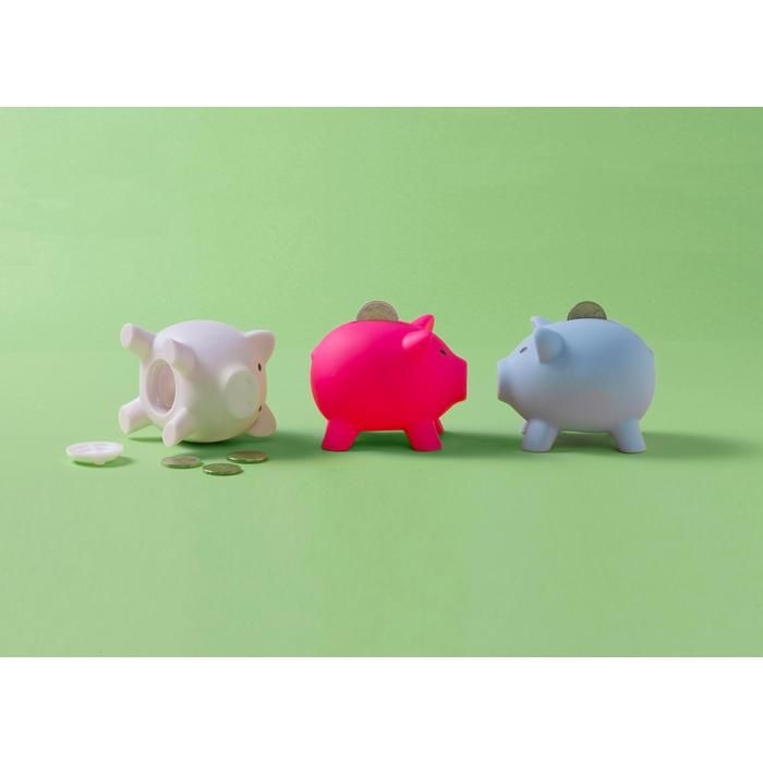 GI1842-02Sparschwein aus Kunststoff Roger_ weiss