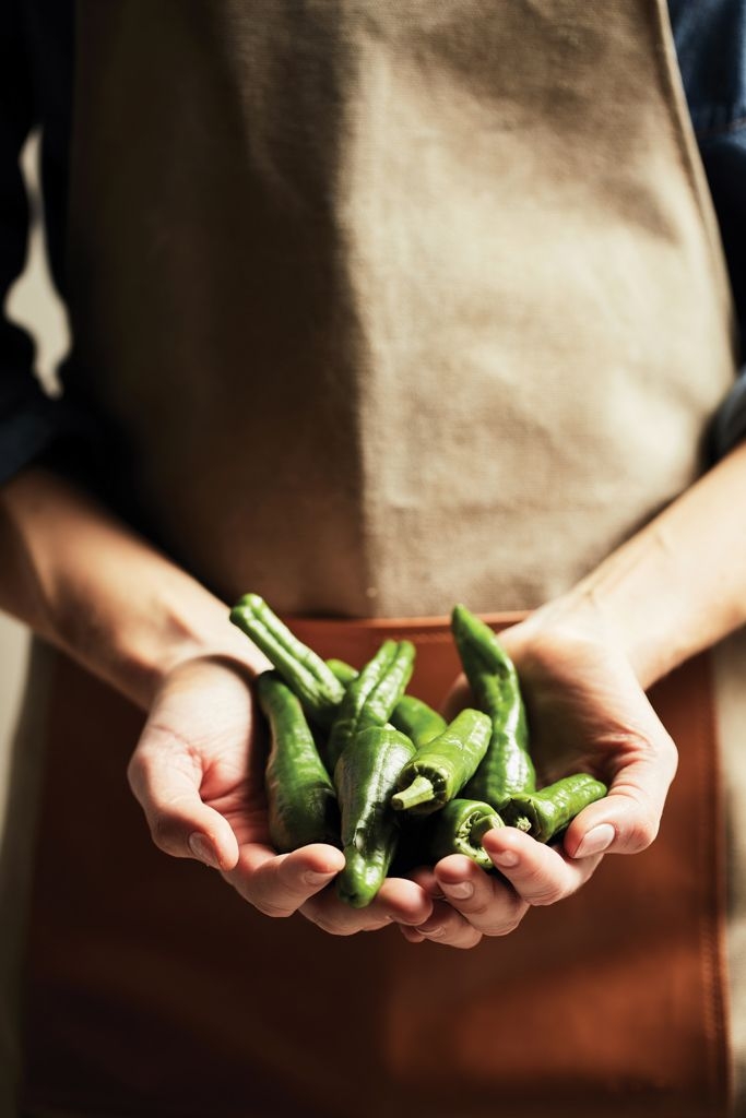 XDV215-9VINGA Asado Kuechenschuerze_ braun