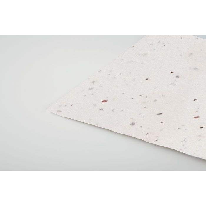 MO2993-06Asida Wildblumensamen-Visitenkarte._ weiss