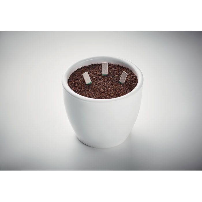 MO6927-13Leyti Kraeutersamen-Sticks_ beige