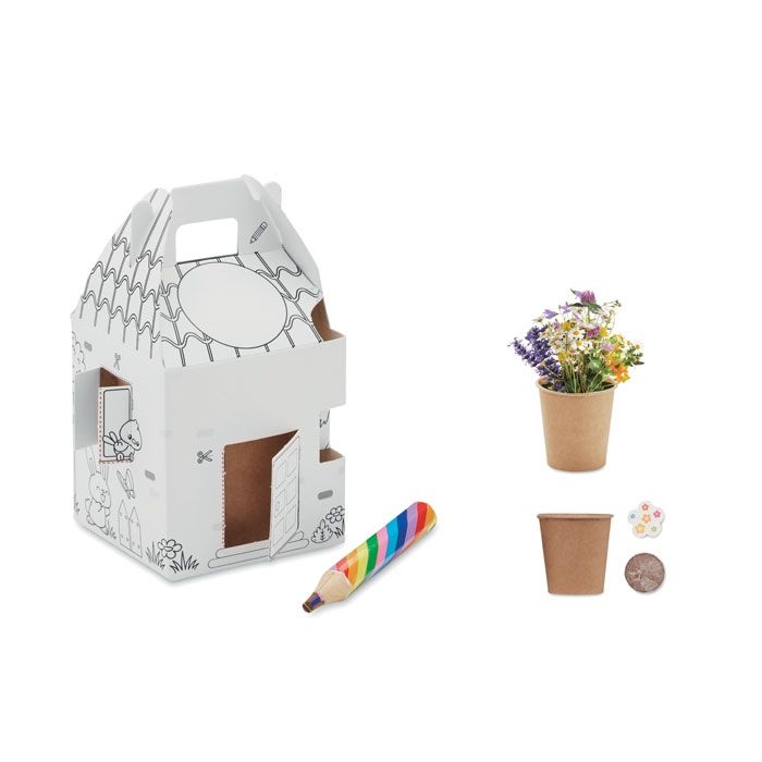 MO2223-99Fullhouse Saat-Set Kinder_ bunt