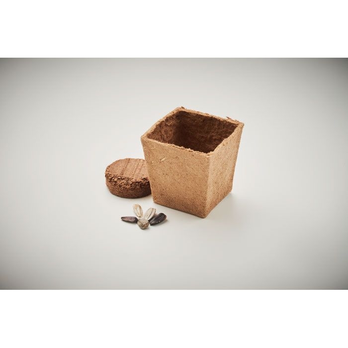 MO2411-13Sunflower Kit Pflanz-Set Sonnenblume_ beige