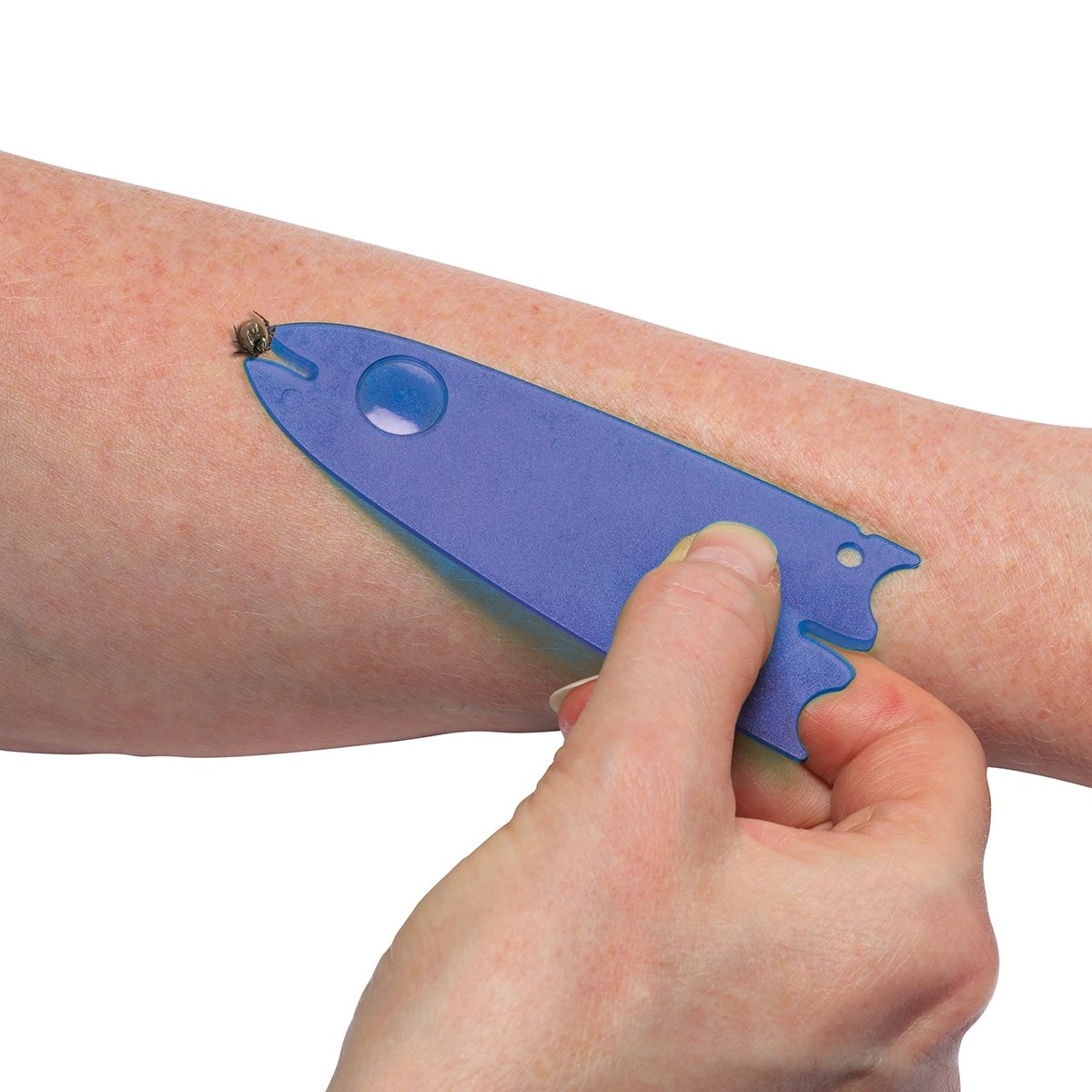 HE8626-F3Zeckenentferner mit Lupe _Duo_ gefrostet blau