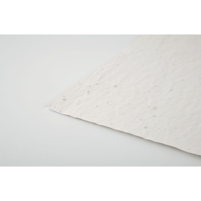 MO6915-06Aside DIN A5 Wildblumen-Samenpapier_ weiss