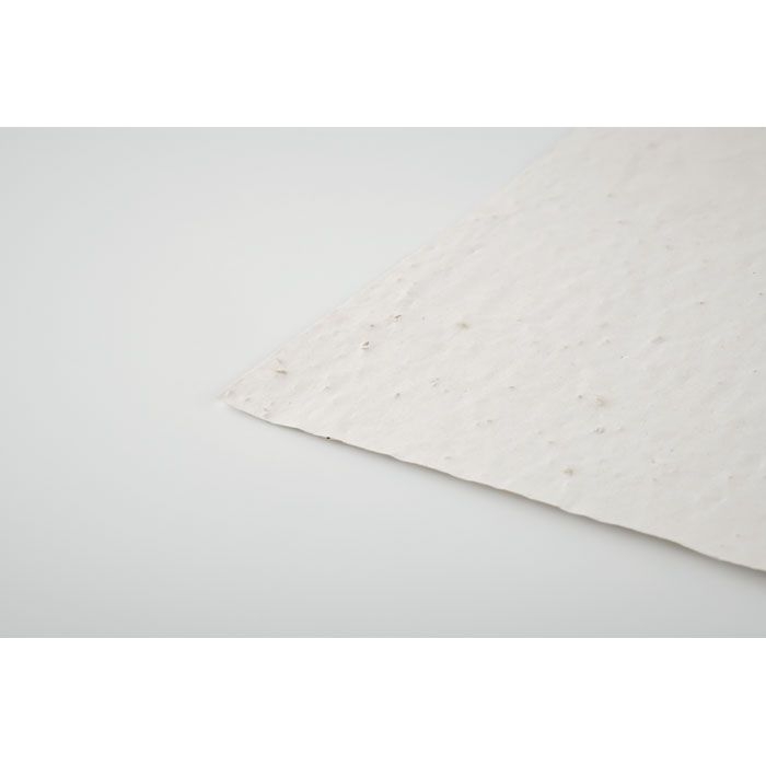 MO6916-06Asido DIN A6 Wildblumen-Samenpapier_ weiss