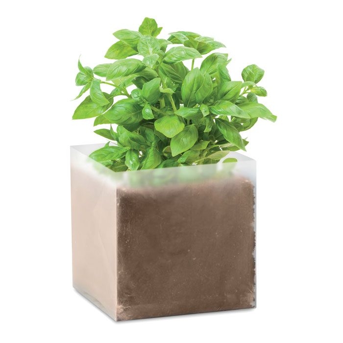MO9545Basil Pflanz-Set _Basilikum_