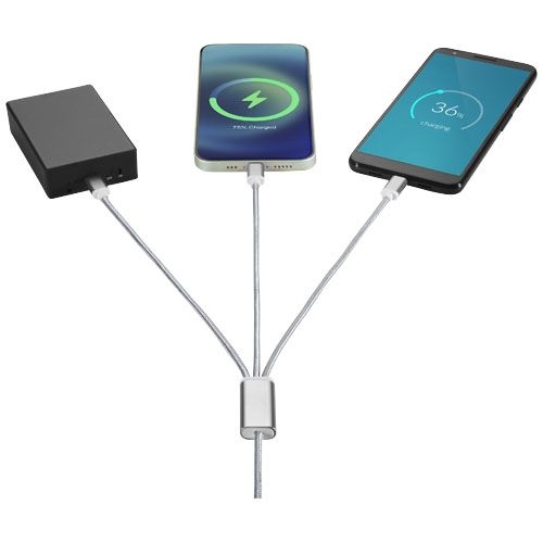 PF124180-3Versatile 5-in-1-Ladekabel_ silber