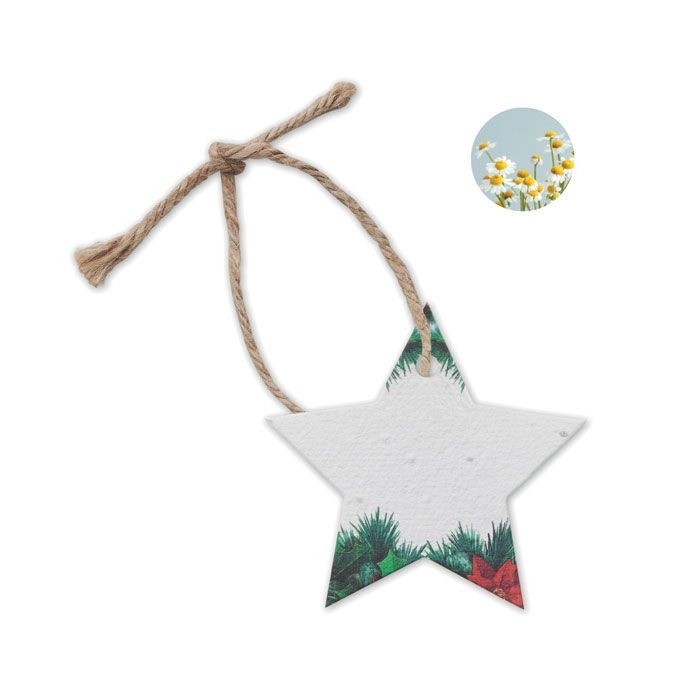 CX1516Starseed Weihnachtsschmuck Samenpapier