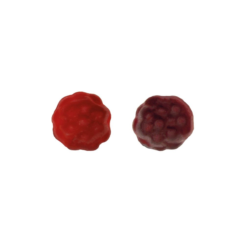 SW1433-1BIO Beerenfruechtchen vegan Werbetuete_BIO Beerenfruechtchen vegan_ weisse Folie