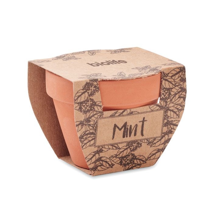 MO2218-40Mint Pot Terrakotta-Topf Minze_ holz
