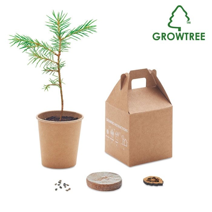 MO6228Growtree™ Kiefernsamen-Set