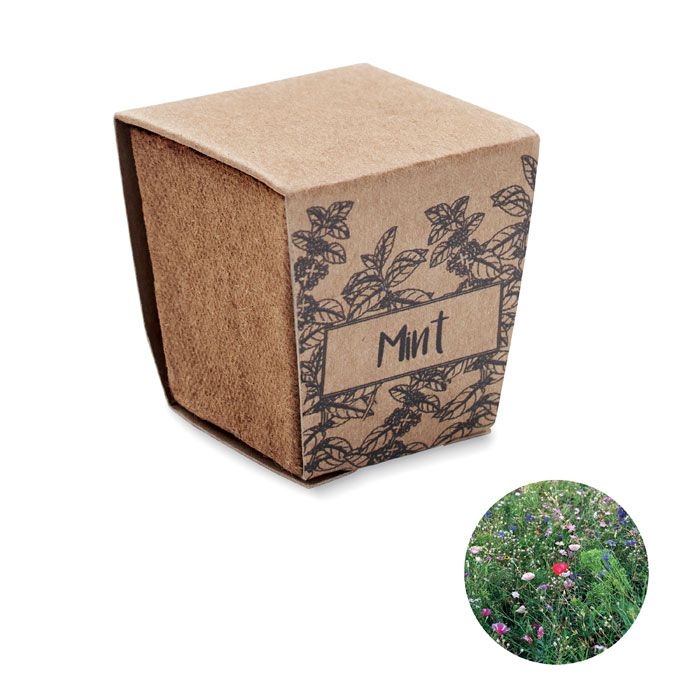 MO2410-13Mint Kit Pflanz-Set Minze_ beige