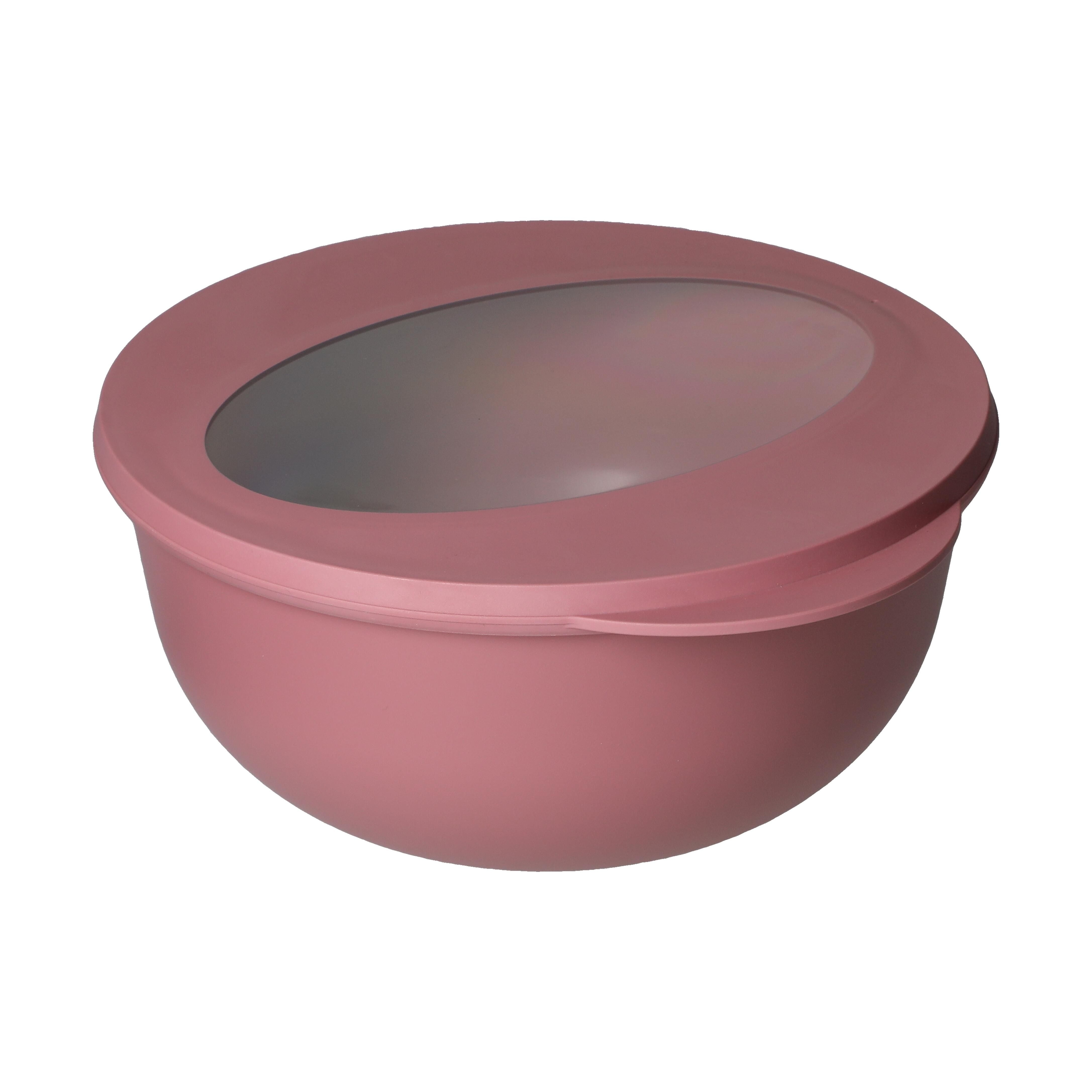 EL01964-4Food-Bowl _ToGo_ Deluxe_ 1_0 l_ raffiniertes rot_ transparent